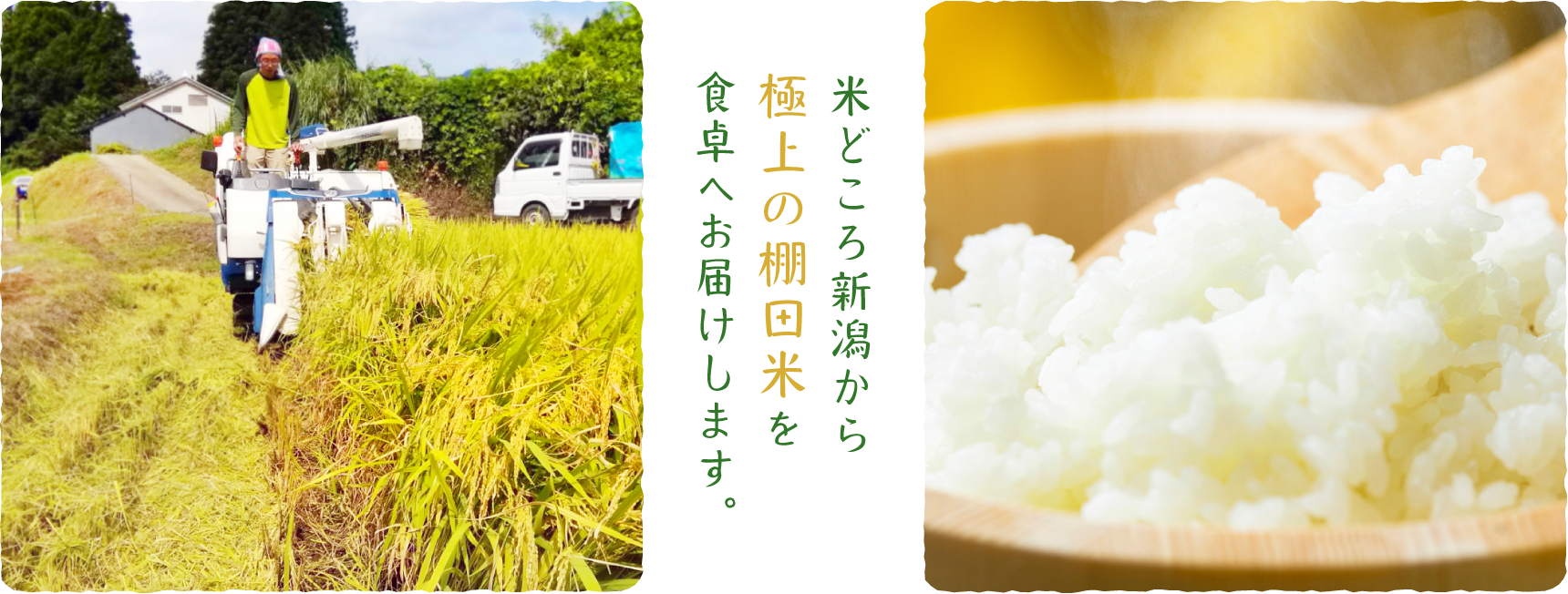 米どころ新潟から極上の棚田米を食卓へお届けします。