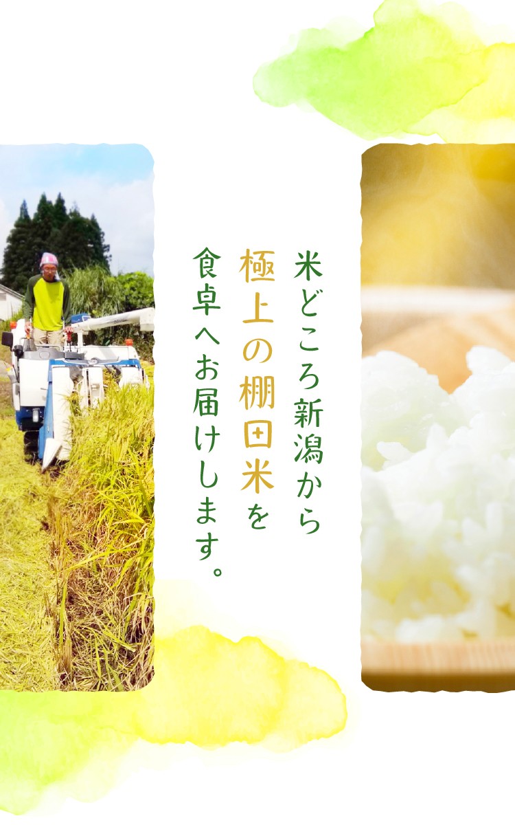 米どころ新潟から極上の棚田米を食卓へお届けします。